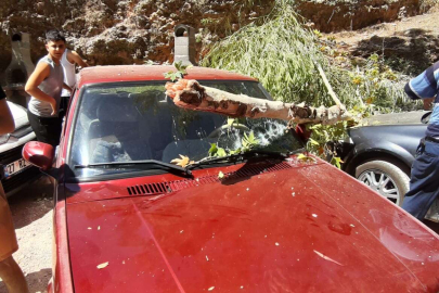 Adıyaman Besni'de otomobilin üstünde ağaç devrildi