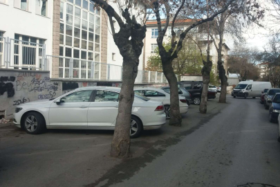 Afyonkarahisar'da otopark için ağaçların köküne asfalt döktüler!