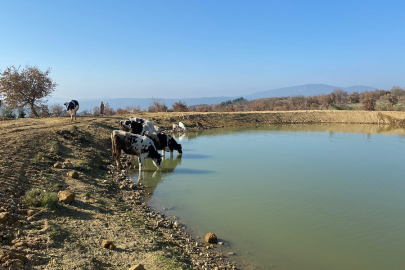 Manisa'da 2022'de 118 gölet yenilendi