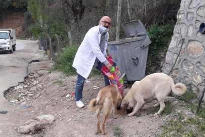 Bursalı veterinerden 'bir kap su, bir kap mama' çağrısı