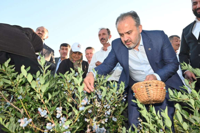 Bursa Büyükşehir tarlada üreticiye nefes oldu