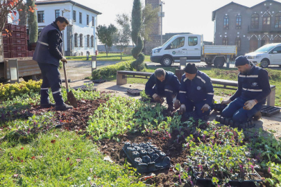 Diyarbakır 'çiçek' gibi oldu