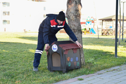 Kedilerin sıcak evi Bursa Mustafakemalpaşa'dan