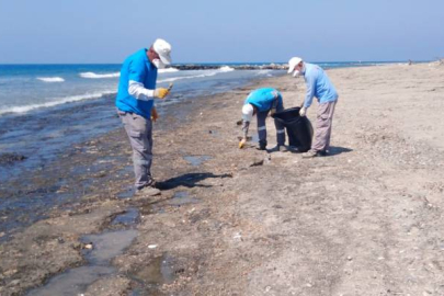 Hatay sahillerinde temizlik çalışmalarına aralıksız devam