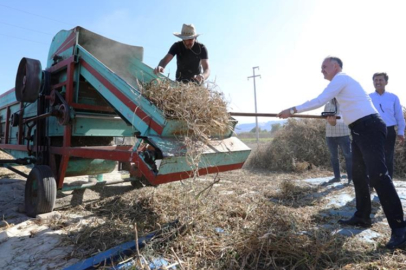 Tarladan sofraya... Cerrah Kuru Fasulyesi'nde hasat başladı