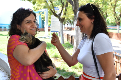 Manisa 'can dostları' hayata bağlıyor