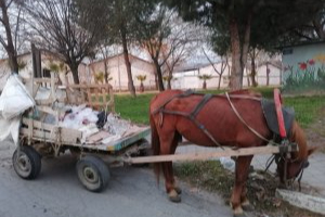 Keşan'da at arabası çalındı