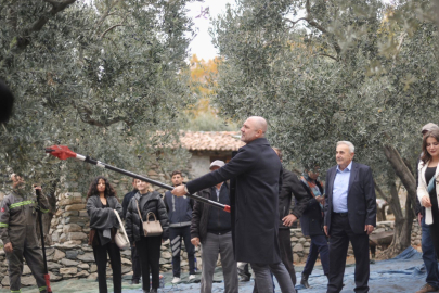 Marmara Adası'nda zeytin hasat şenliği düzenlendi