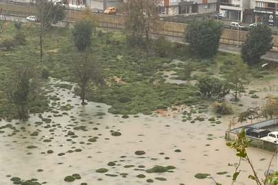 Rize Çayeli'nde heyelan! CHP: Bu tür afetler kader değil, basiretsizliktir!