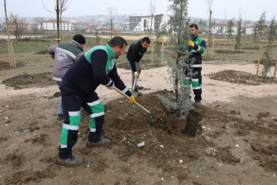 Bursa İnegöl'de 167 fidan toprakla buluştu