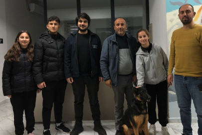 Kocaeli'de  275 cana yuva bulundu