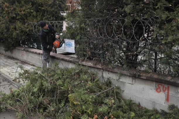 Bursa İnegöl'de ağaç budama çalışmaları sürüyor