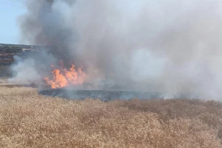 Enez'de buğday tarlasında yangın!